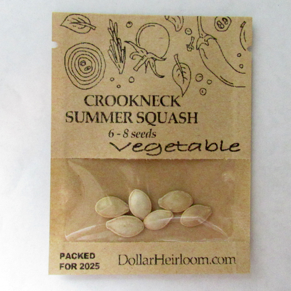 Squash – Summer – Crookneck  (6-8 Seeds)