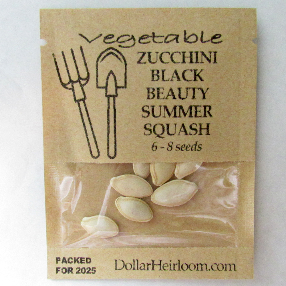 Squash – Summer – Zucchini Black Beauty  (6-8 Seeds)