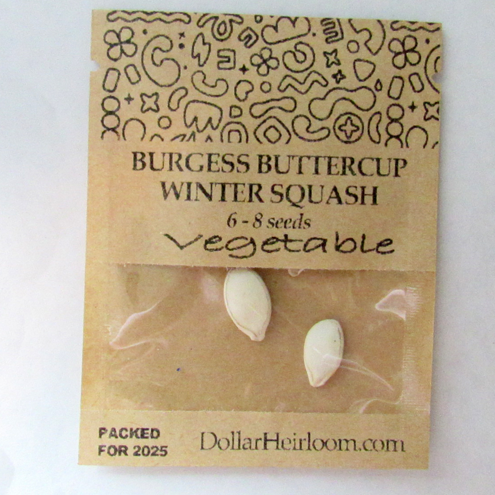 Squash – Winter – Burgess Buttercup  (6-8 Seeds)