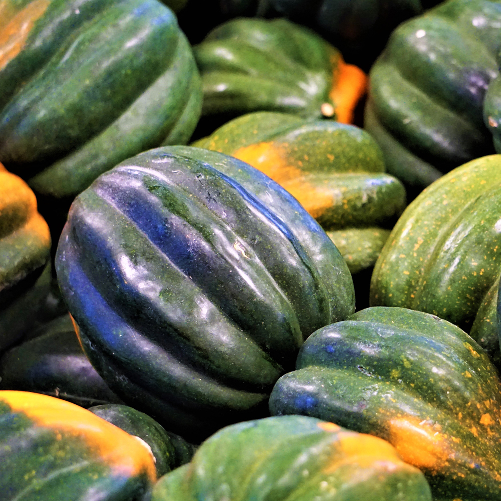 Squash – Winter – Table Queen Acorn