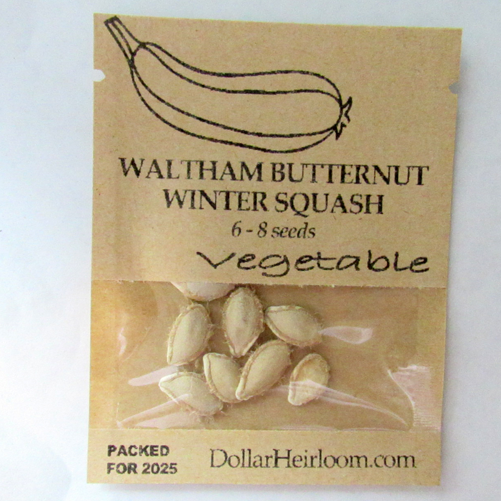 Squash – Waltham Butternut  (6-8 Seeds)