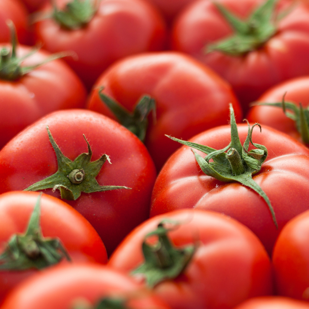 Tomato – Salad – Early Girl Hybrid