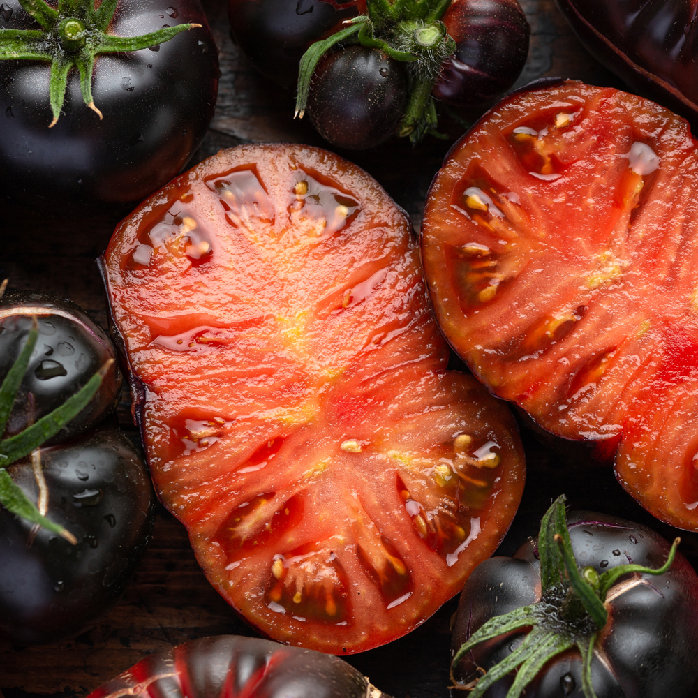 Tomato – Slicing – Black Krim