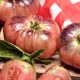 Tomato - Slicing - Brandywine Pink (16-18 Seeds)