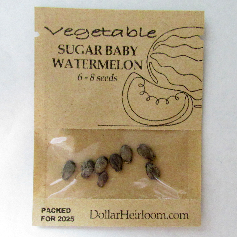 Watermelon – Mini – Sugar Baby (6-8 Seeds)