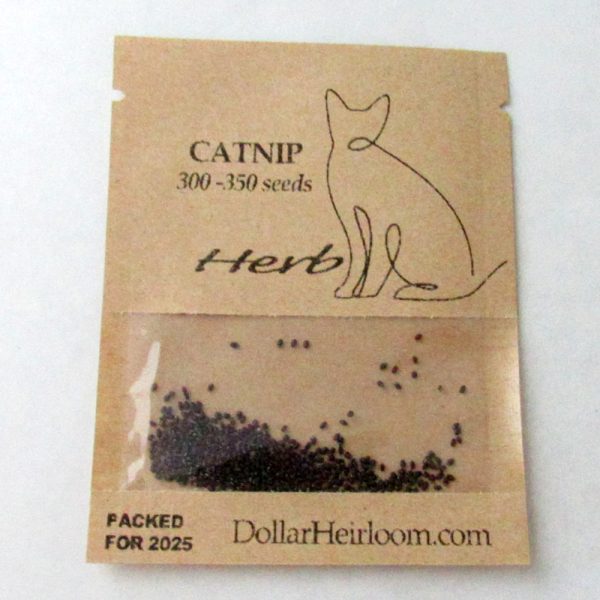 Catnip (300-350 Seeds)