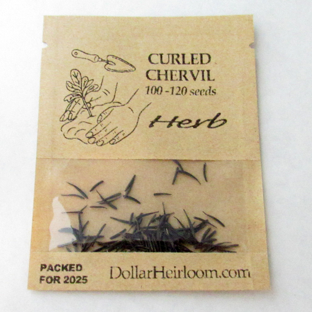 Chervil – Curled  (100-120 Seeds)