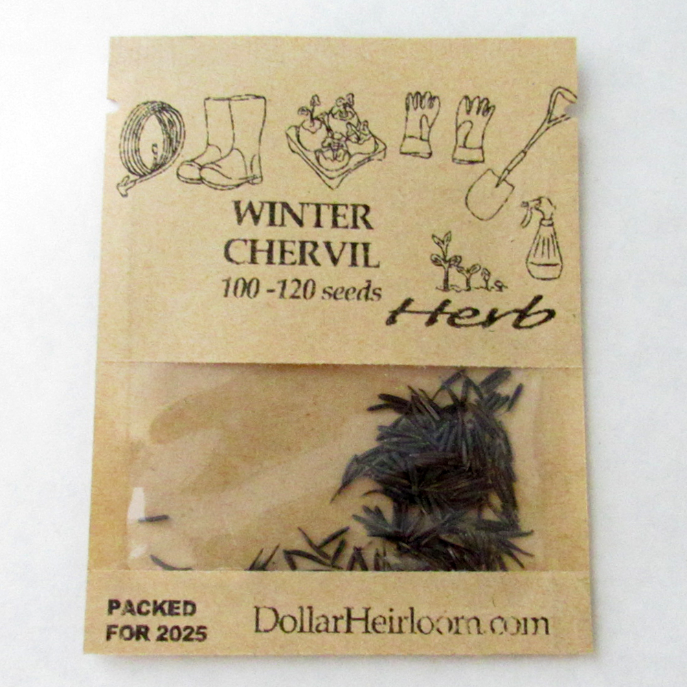 Chervil – Winter (100-120 Seeds)