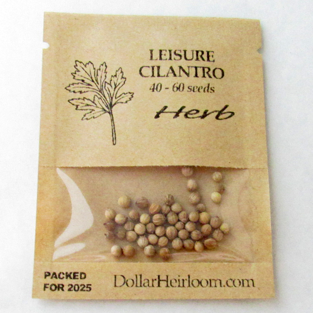 Cilantro – Leisure – (aka) Chinese Leisure Parsley (40-60 Seeds)