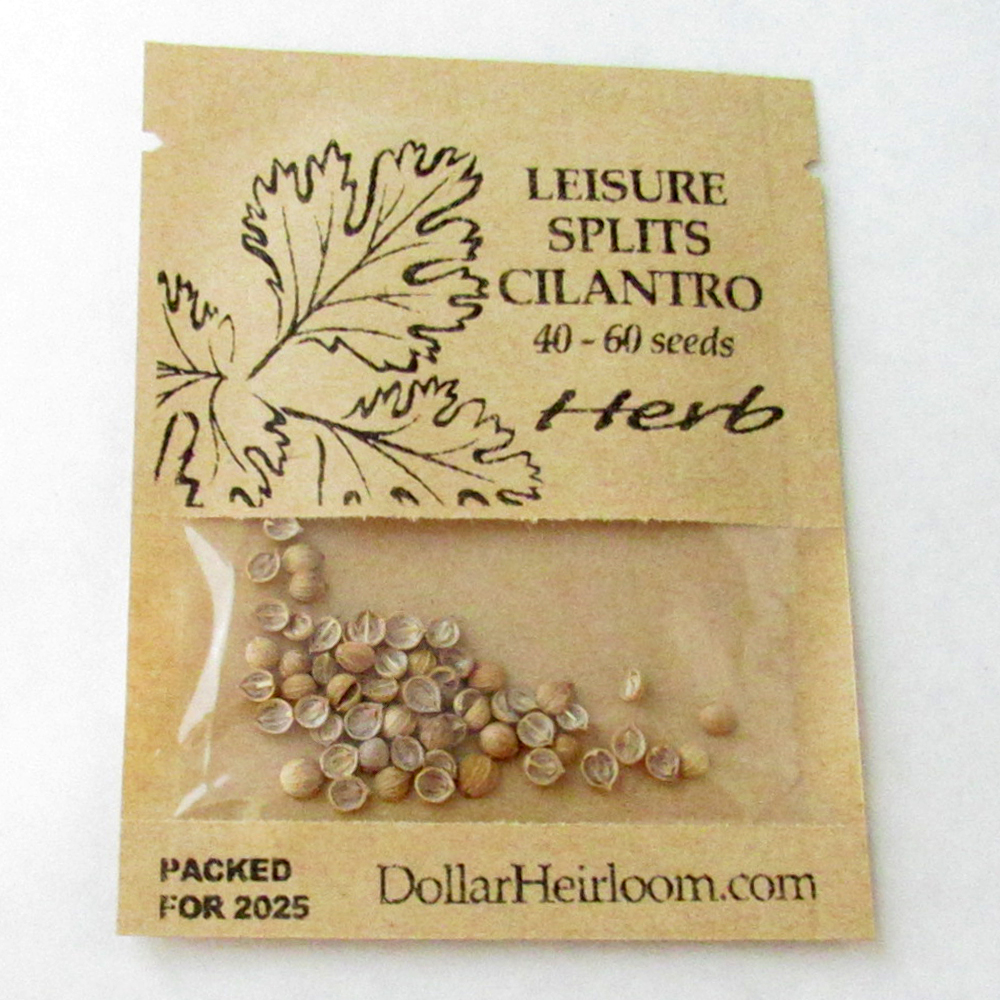 Cilantro – Leisure Splits (40-60 Seeds)