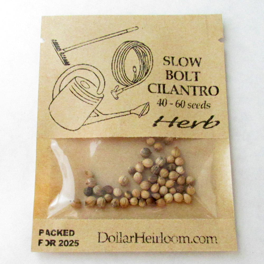 Cilantro – Slow Bolt (40-60 Seeds)