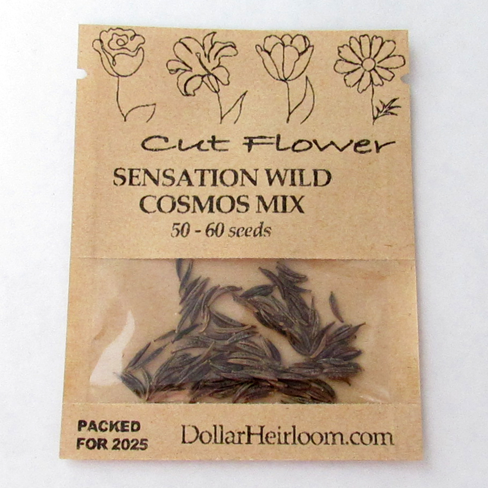 Cosmos – Sensation Mixture (50-60 Seeds)