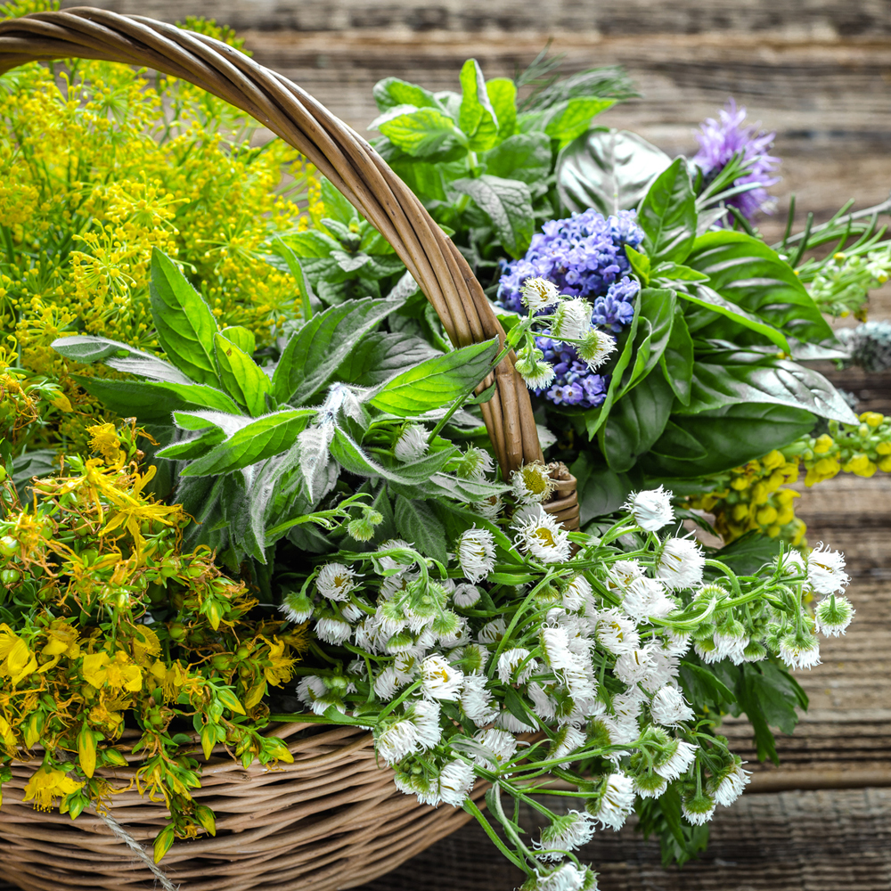 Flowering Herbs Mix