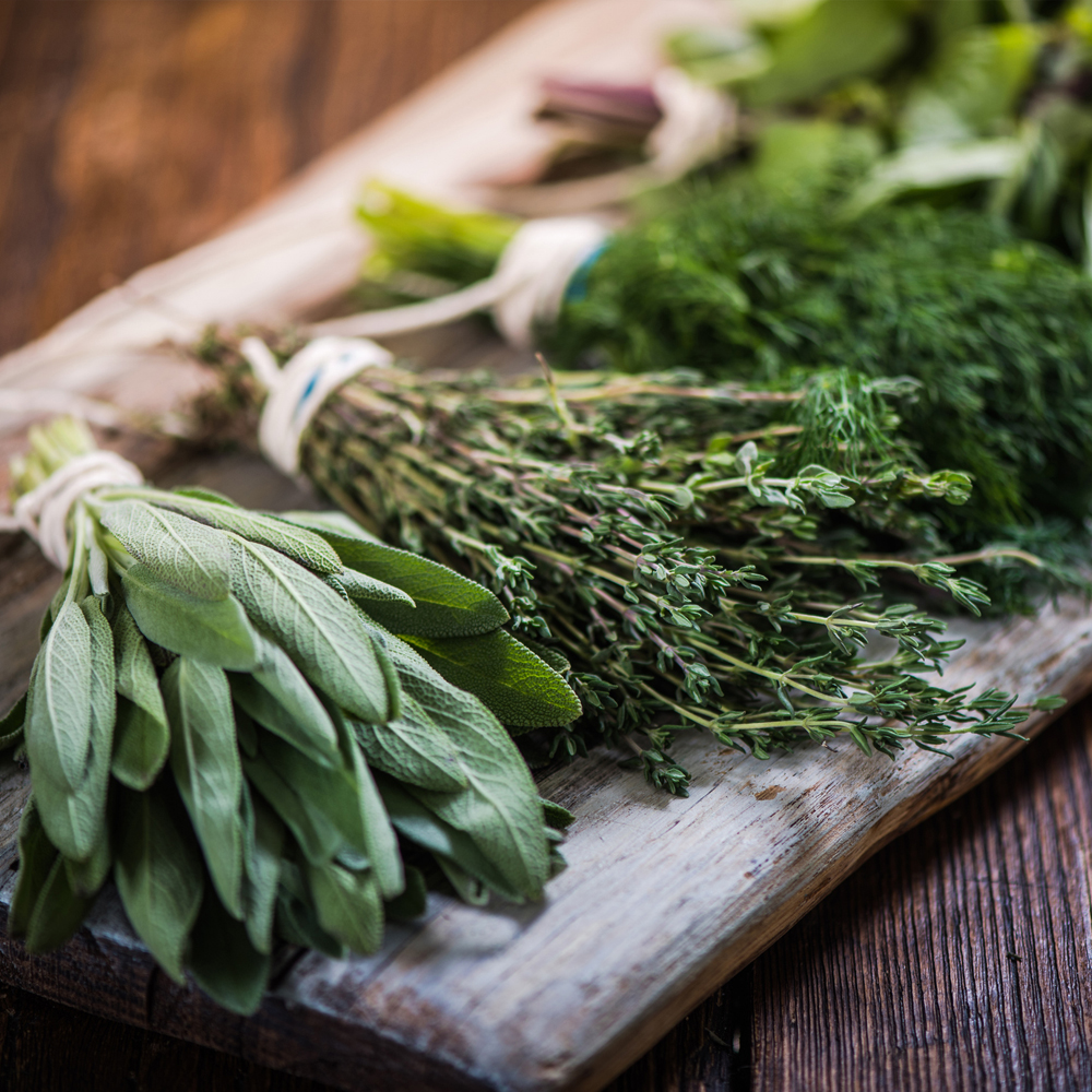 Herb Assortment – Essential Culinary Collection