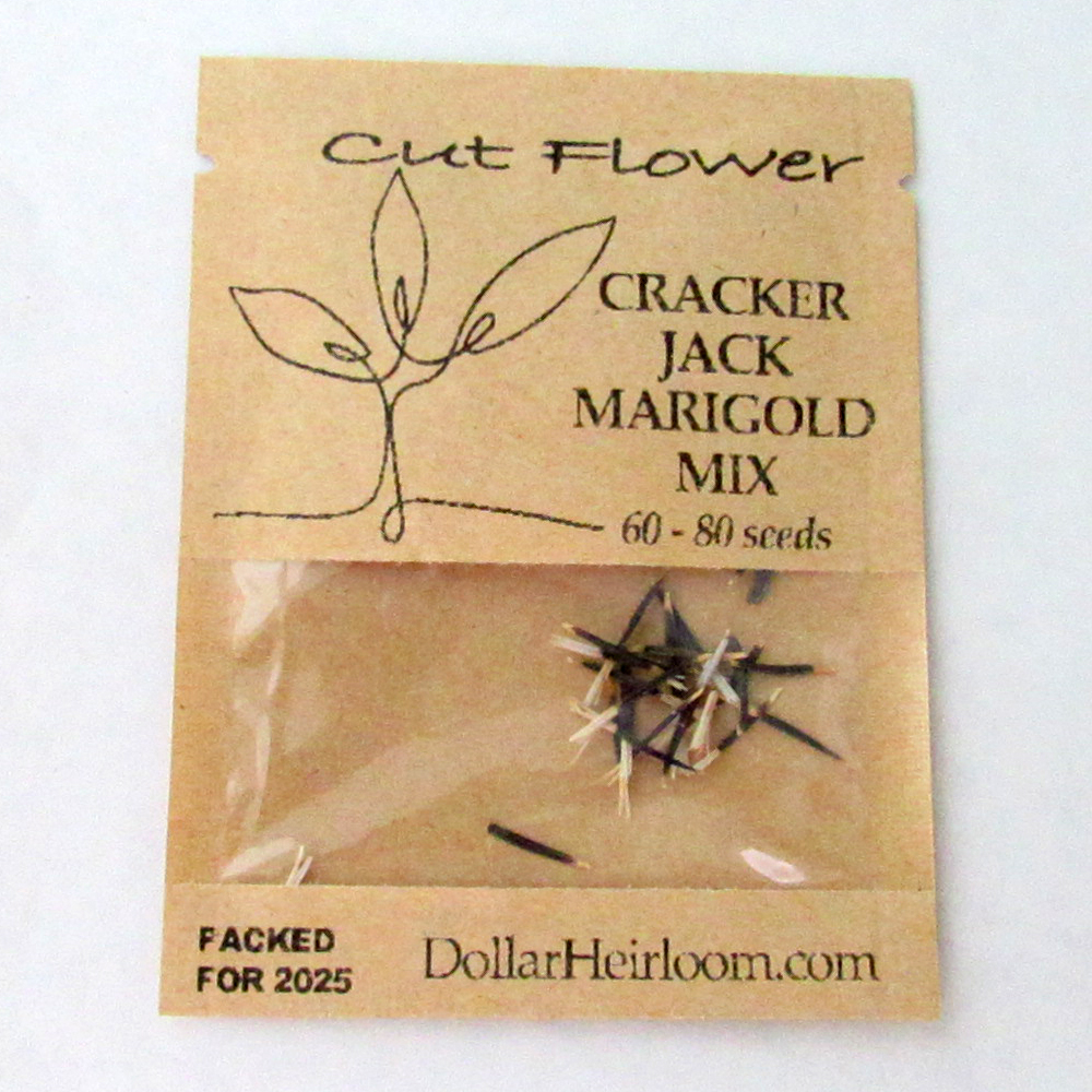 Marigold – African – Cracker Jack (60-80 Seeds)