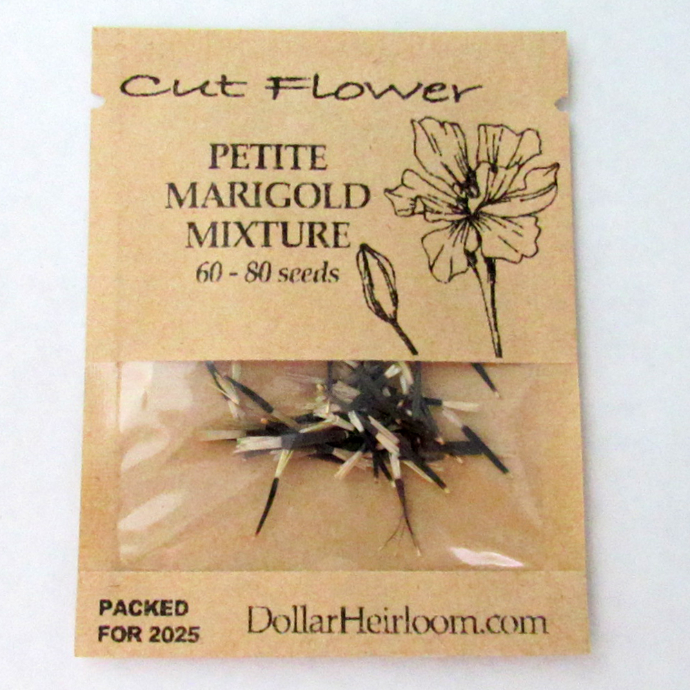 Marigold – French – Petite Mixture (60-80 Seeds)