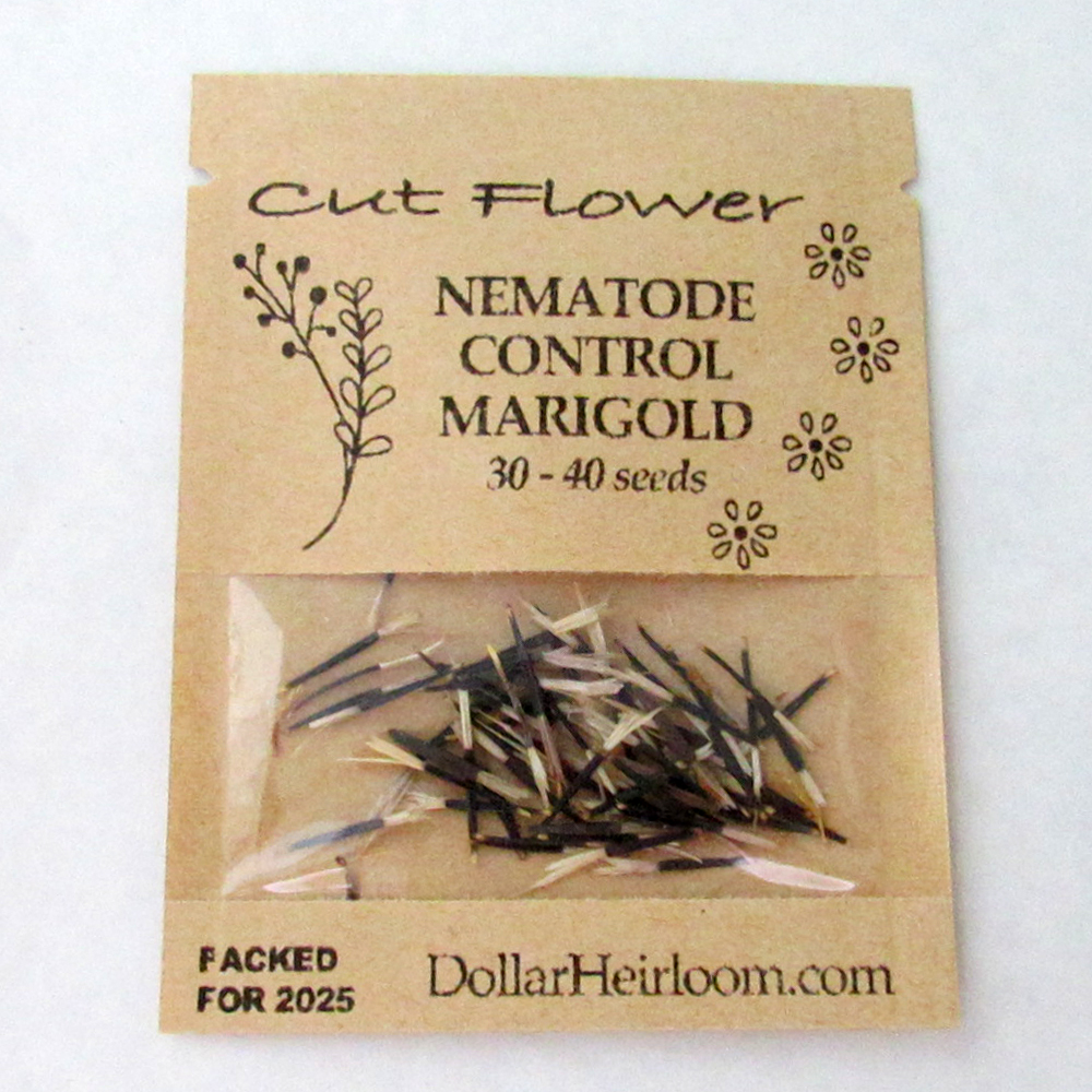 Marigold – Nematode Control (30-40 Seeds)