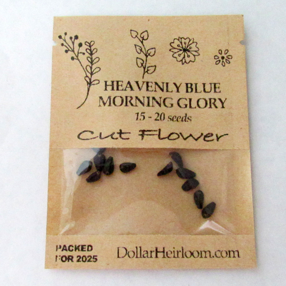 Morning Glory – Heavenly Blue (15-20 Seeds)