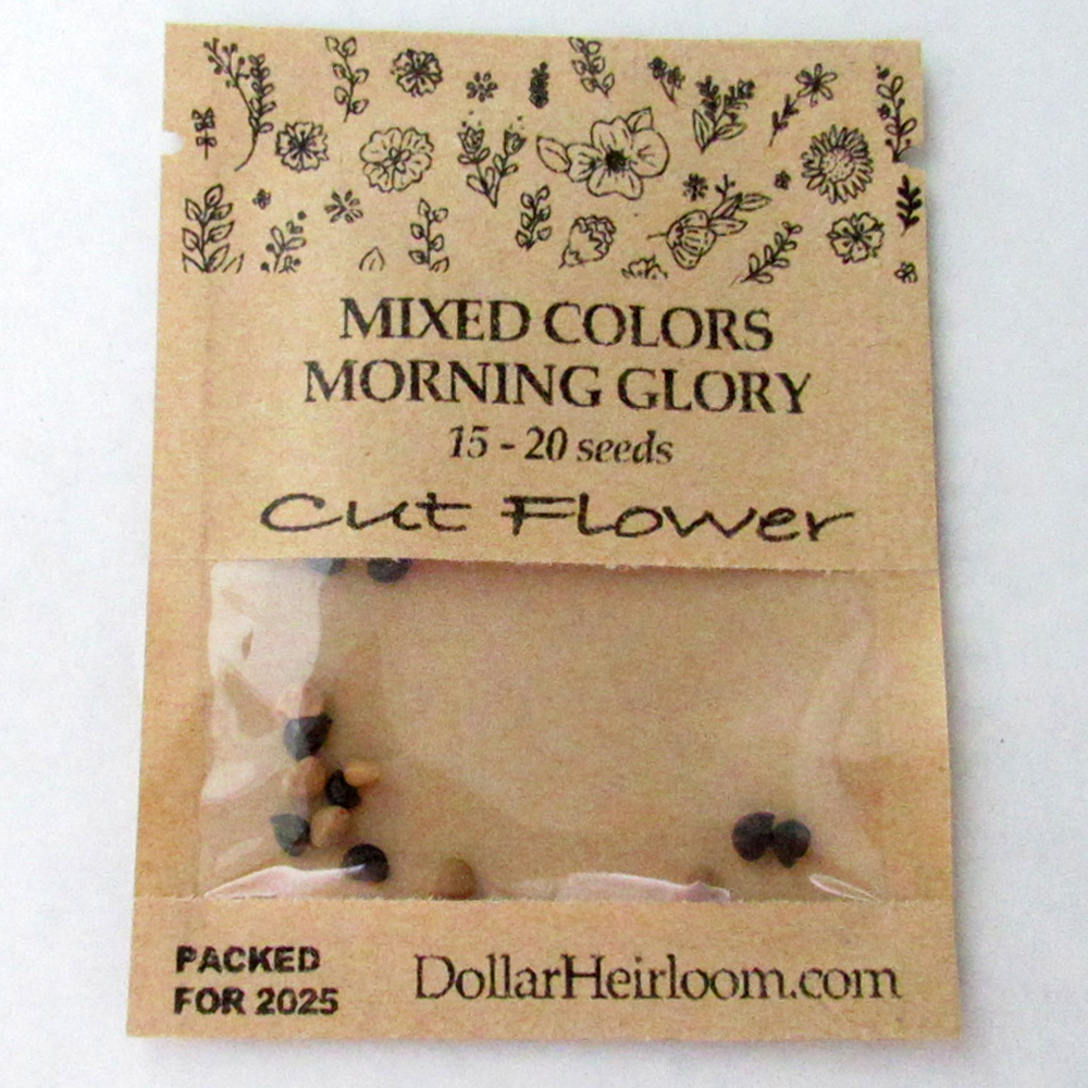 Morning Glory – Mixed Colors (15-20 Seeds)
