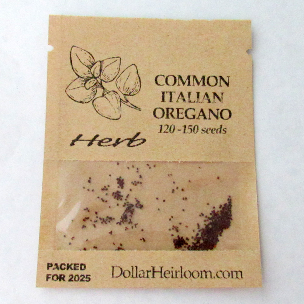 Oregano – Common Italian (120-150 Seeds)
