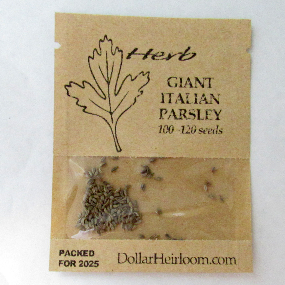 Parsley – Italian Giant (100-120 Seeds)