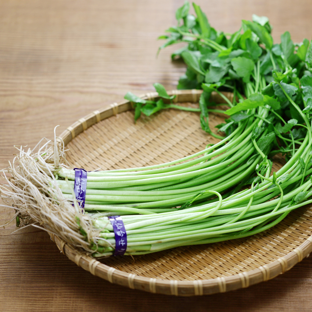 Parsley – Japanese – Mitsuba