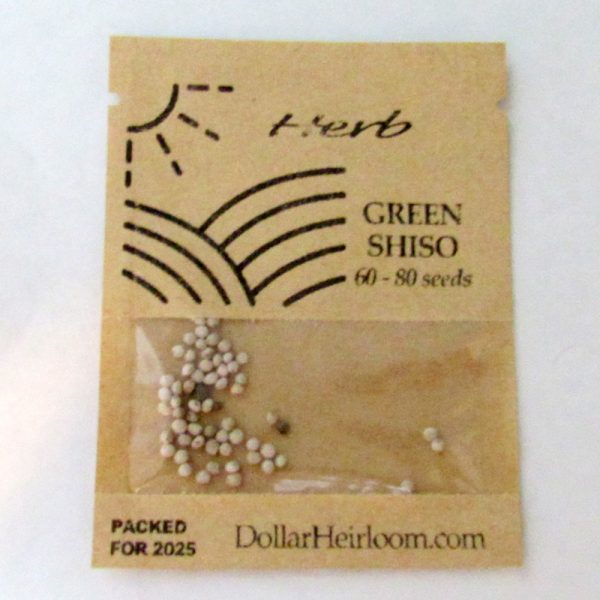 Shiso Herb (Perilla) - Green (60-80 Seeds)