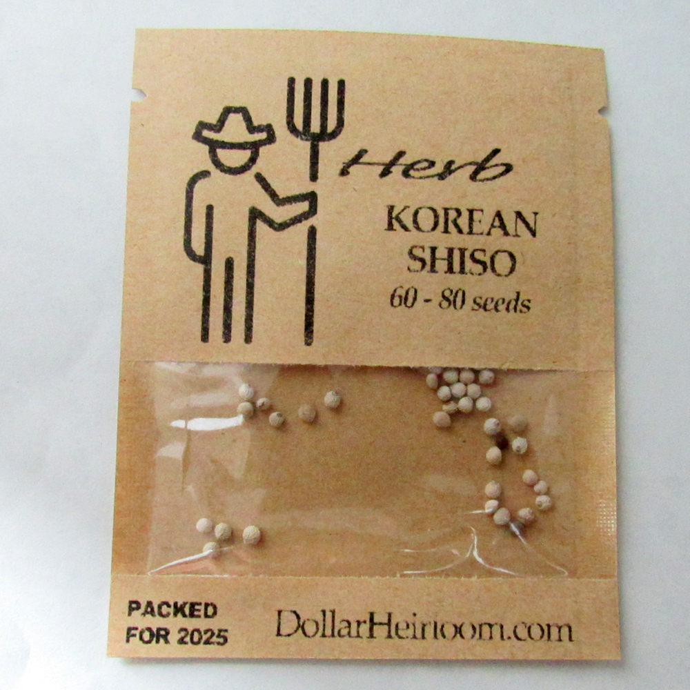 Shiso Herb (Perilla) – Korean (60-80 Seeds)