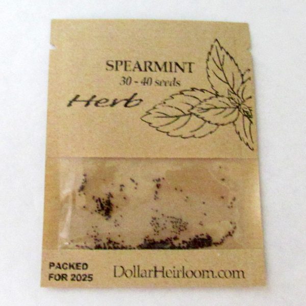 Spearmint  (30-40 Seeds)