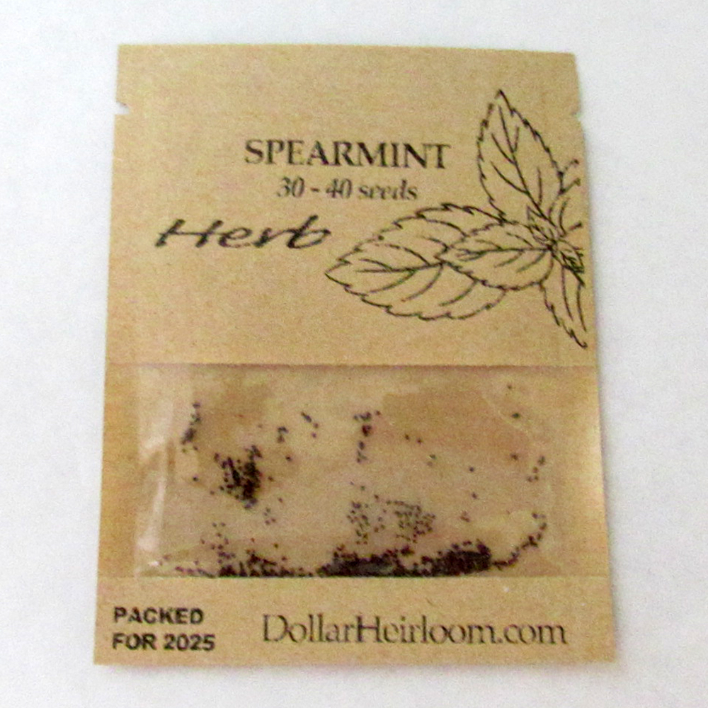 Spearmint  (30-40 Seeds)