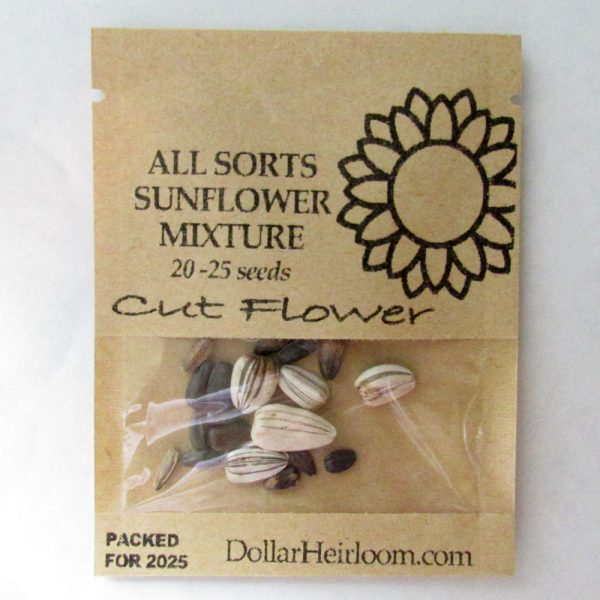 Sunflower - All Sorts Mixture  (20-25 Seeds)