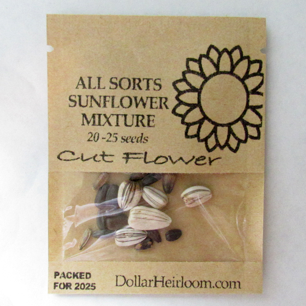 Sunflower – All Sorts Mixture  (20-25 Seeds)