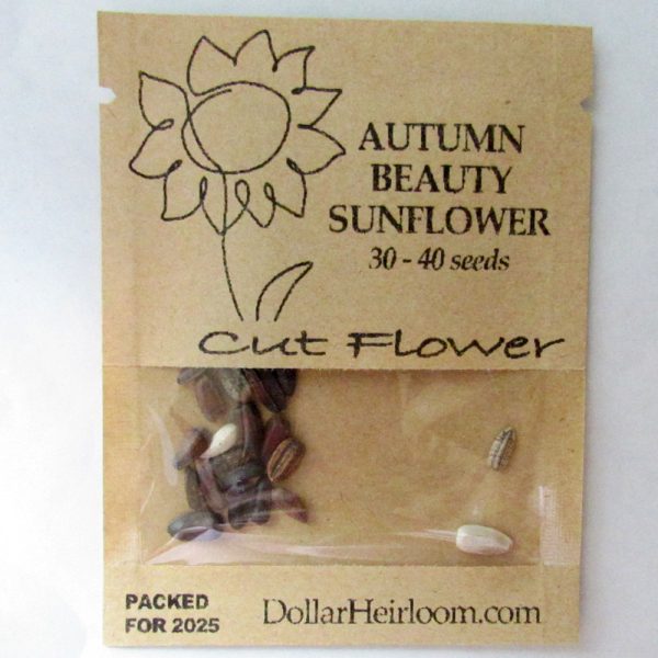 Sunflower - Autumn Beauty Mix  (30-40 Seeds)