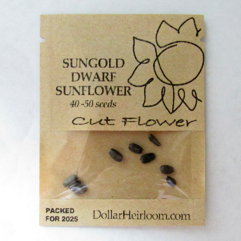 Sunflower – Sungold Dwarf  (40-50 Seeds)
