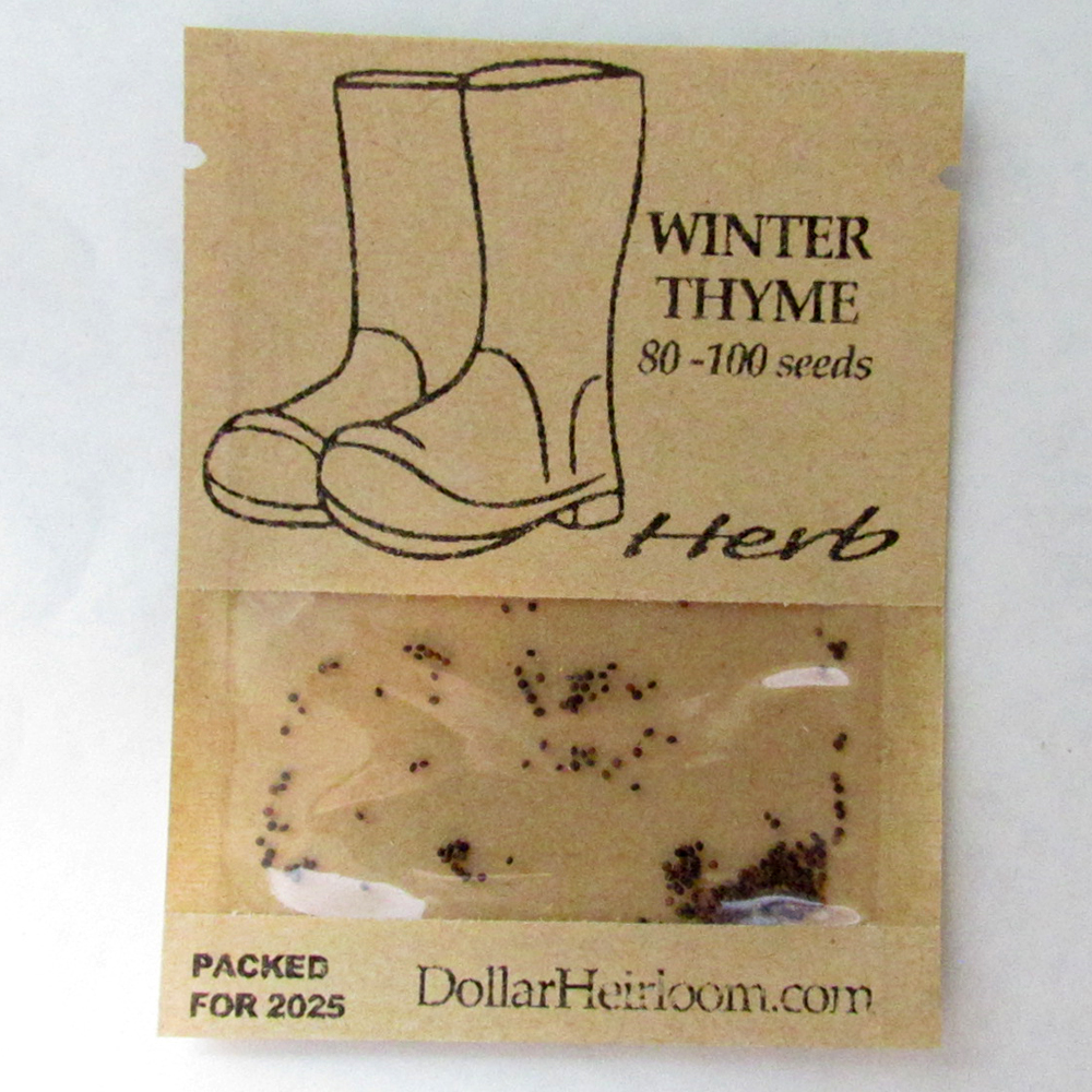 Thyme – Winter (80-100 Seeds)
