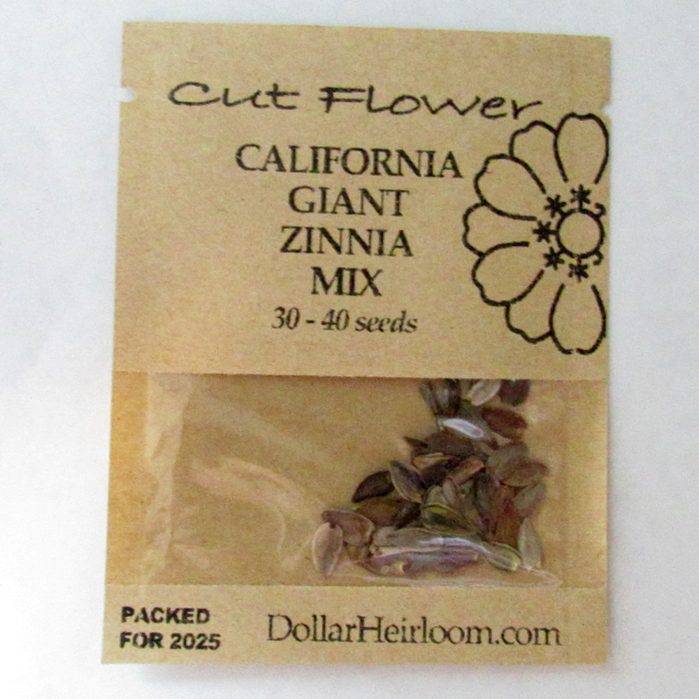 Zinnia – California Giant Mix (30-40 Seeds)