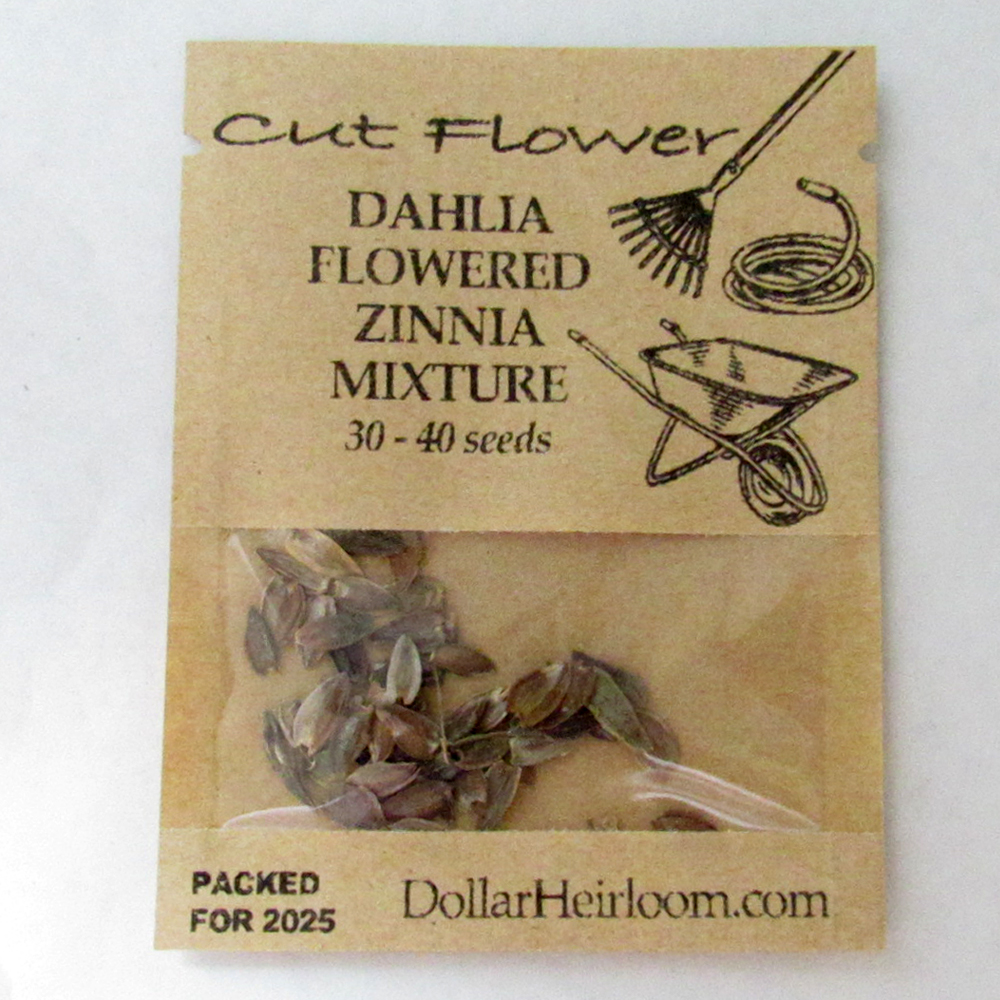Zinnia – Dahlia Flowered Mixture (30-40 Seeds)
