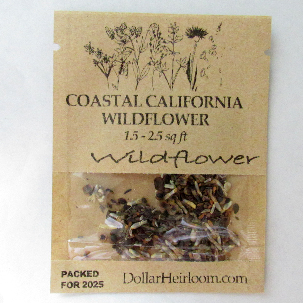 California Wildflower Seed Mix (1.5-2.5 Sq Ft)