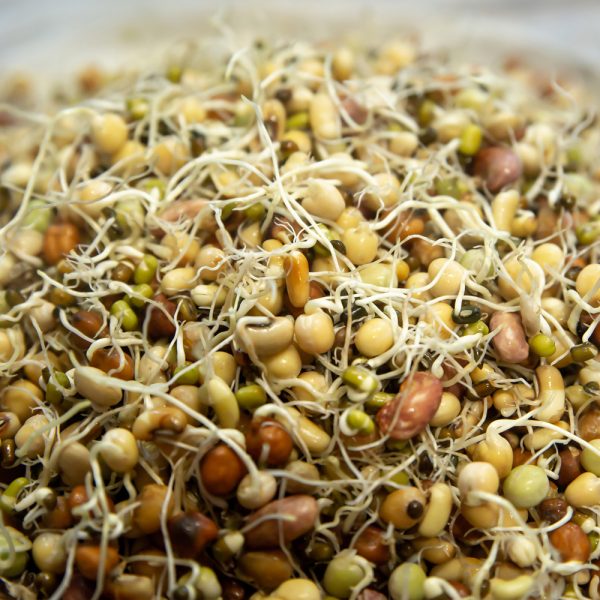 Bean - Fava