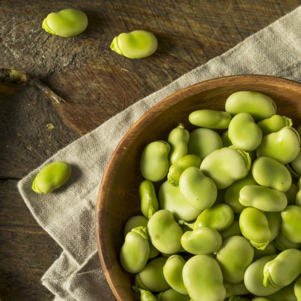 Bean - Fava