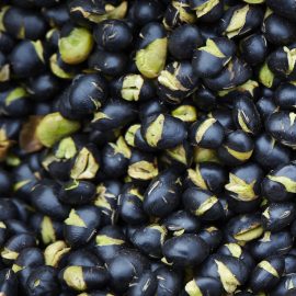 Black Soybean