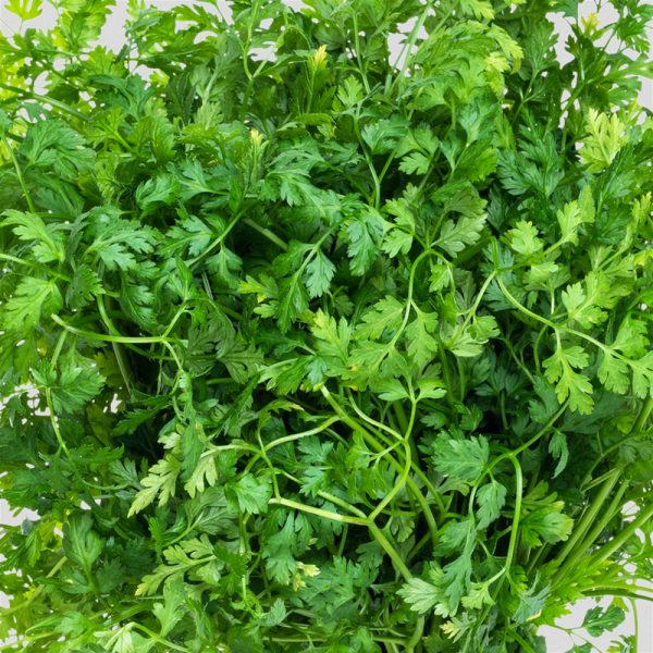 Chervil - Curled