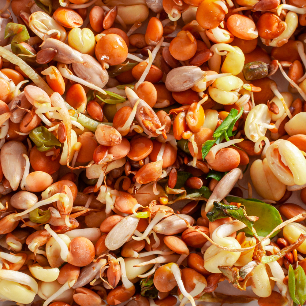 Crunchy Lentil Fest Mix