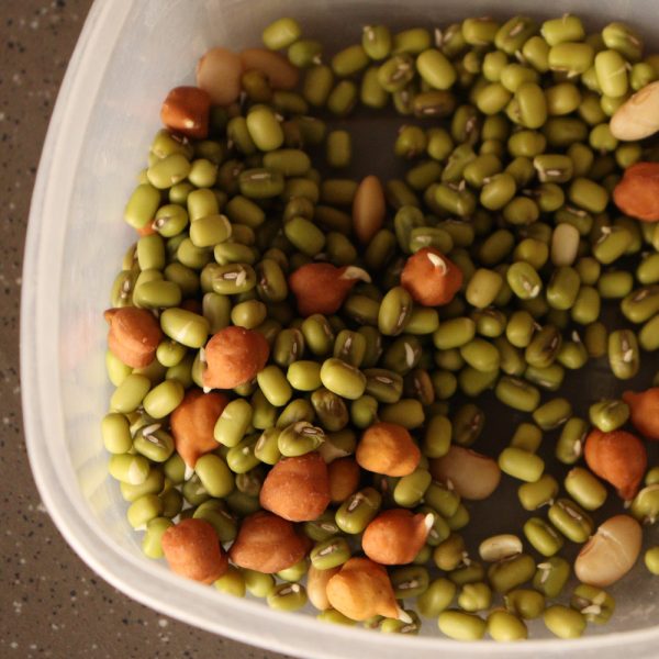 Crunchy Lentil Fest Mix