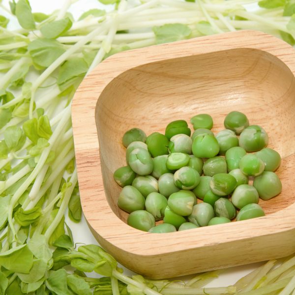 Pea - Green