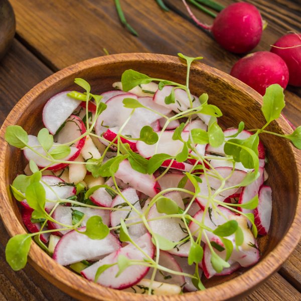 Radish - China Rose