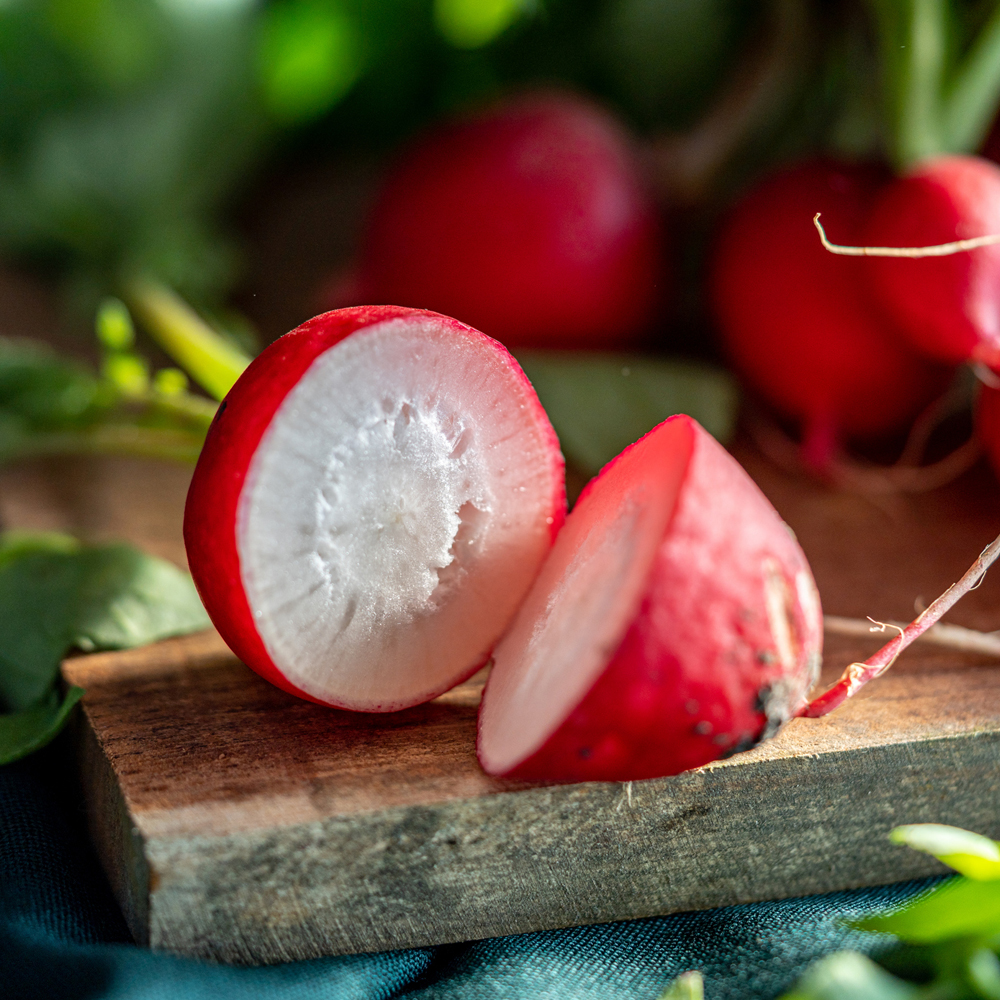 Radish – Red Vulcano