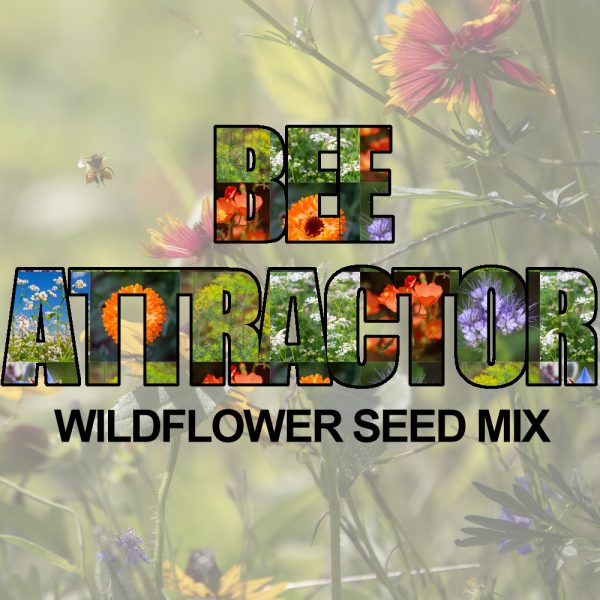 Bee Loving Wildflower Seed Mix