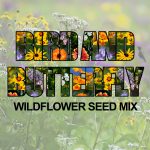 Bird & Butterfly Wildflower Seed Mix (1.5-2.5 Sq Ft)