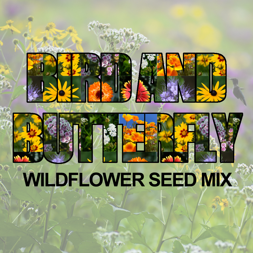 Bird & Butterfly Wildflower Seed Mix